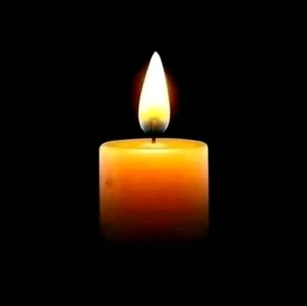 Read more about the article James Scott Houston,TX Obituary,Death : American YouTuber Leticia Padua aka SheraSeven Husband Has Passed Away