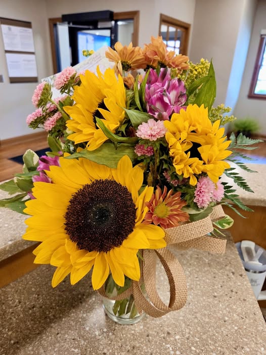 You are currently viewing Audra Schleuger South Carolina Obituary:Death, In Loving Memory Of Audra Schleuger